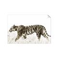 Picture of Tiger Path _GroupedProduct_Rectangle_Landscape_Photography _GroupedProduct_Rectangle_Landscape_Unframed_Print_Only_
