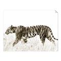 Picture of Tiger Path _GroupedProduct_Rectangle_Landscape_Photography _GroupedProduct_Rectangle_Landscape_Unframed_Print_Only_