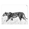 Picture of Tiger Path _GroupedProduct_Rectangle_Landscape_Photography _GroupedProduct_Rectangle_Landscape_Unframed_Print_Only_