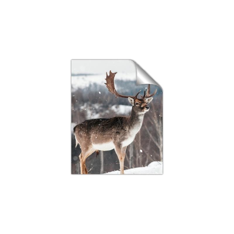 Picture of Waiting in Snow _GroupedProduct_Rectangle_Portrait_Photography _GroupedProduct_Rectangle_Portrait_Unframed_Print_Only_