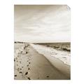 Picture of Walking the Shoreline  _GroupedProduct_Rectangle_Portrait_Photography _GroupedProduct_Rectangle_Portrait_Unframed_Print_Only_