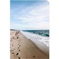 Picture of Walking the Shoreline  _GroupedProduct_Rectangle_Portrait_Photography _GroupedProduct_Rectangle_Portrait_Unframed_Print_Only_
