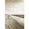 Picture of Walking the Shoreline  _GroupedProduct_Rectangle_Portrait_Photography _GroupedProduct_Rectangle_Portrait_Unframed_Print_Only_