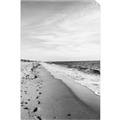 Picture of Walking the Shoreline  _GroupedProduct_Rectangle_Portrait_Photography _GroupedProduct_Rectangle_Portrait_Unframed_Print_Only_