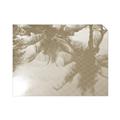 Picture of Water Shadows  _GroupedProduct_Rectangle_Landscape_Photography _GroupedProduct_Rectangle_Landscape_Unframed_Print_Only_