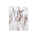 Picture of Wheat in the Wind  _GroupedProduct_Rectangle_Portrait_Photography _GroupedProduct_Rectangle_Portrait_Unframed_Print_Only_