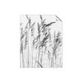 Picture of Wheat in the Wind  _GroupedProduct_Rectangle_Portrait_Photography _GroupedProduct_Rectangle_Portrait_Unframed_Print_Only_