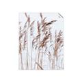 Picture of Wheat in the Wind  _GroupedProduct_Rectangle_Portrait_Photography _GroupedProduct_Rectangle_Portrait_Unframed_Print_Only_