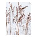 Picture of Wheat in the Wind  _GroupedProduct_Rectangle_Portrait_Photography _GroupedProduct_Rectangle_Portrait_Unframed_Print_Only_