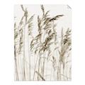 Picture of Wheat in the Wind  _GroupedProduct_Rectangle_Portrait_Photography _GroupedProduct_Rectangle_Portrait_Unframed_Print_Only_