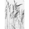 Picture of Wheat in the Wind  _GroupedProduct_Rectangle_Portrait_Photography _GroupedProduct_Rectangle_Portrait_Unframed_Print_Only_