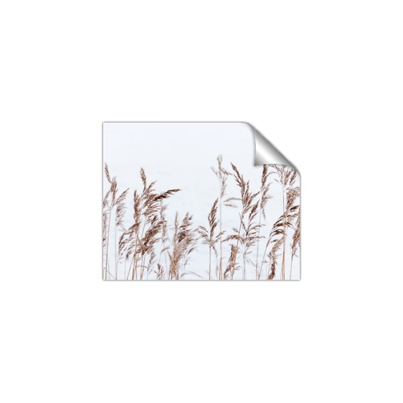 Picture of Wheat in the Wind II _GroupedProduct_Rectangle_Landscape_Photography _GroupedProduct_Rectangle_Landscape_Unframed_Print_Only_