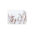 Picture of Wheat in the Wind II _GroupedProduct_Rectangle_Landscape_Photography _GroupedProduct_Rectangle_Landscape_Unframed_Print_Only_