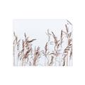 Picture of Wheat in the Wind II _GroupedProduct_Rectangle_Landscape_Photography _GroupedProduct_Rectangle_Landscape_Unframed_Print_Only_