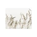 Picture of Wheat in the Wind II _GroupedProduct_Rectangle_Landscape_Photography _GroupedProduct_Rectangle_Landscape_Unframed_Print_Only_