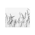 Picture of Wheat in the Wind II _GroupedProduct_Rectangle_Landscape_Photography _GroupedProduct_Rectangle_Landscape_Unframed_Print_Only_