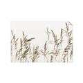 Picture of Wheat in the Wind II _GroupedProduct_Rectangle_Landscape_Photography _GroupedProduct_Rectangle_Landscape_Unframed_Print_Only_