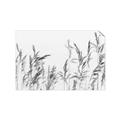 Picture of Wheat in the Wind II _GroupedProduct_Rectangle_Landscape_Photography _GroupedProduct_Rectangle_Landscape_Unframed_Print_Only_