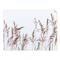 Picture of Wheat in the Wind II _GroupedProduct_Rectangle_Landscape_Photography _GroupedProduct_Rectangle_Landscape_Unframed_Print_Only_