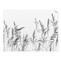 Picture of Wheat in the Wind II _GroupedProduct_Rectangle_Landscape_Photography _GroupedProduct_Rectangle_Landscape_Unframed_Print_Only_