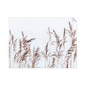 Picture of Wheat in the Wind II _GroupedProduct_Rectangle_Landscape_Photography _GroupedProduct_Rectangle_Landscape_Unframed_Print_Only_