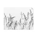 Picture of Wheat in the Wind II _GroupedProduct_Rectangle_Landscape_Photography _GroupedProduct_Rectangle_Landscape_Unframed_Print_Only_