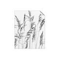 Picture of Wheat in the Wind III _GroupedProduct_Rectangle_Portrait_Photography _GroupedProduct_Rectangle_Portrait_Unframed_Print_Only_