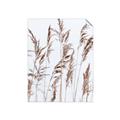Picture of Wheat in the Wind III _GroupedProduct_Rectangle_Portrait_Photography _GroupedProduct_Rectangle_Portrait_Unframed_Print_Only_