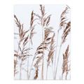 Picture of Wheat in the Wind III _GroupedProduct_Rectangle_Portrait_Photography _GroupedProduct_Rectangle_Portrait_Unframed_Print_Only_