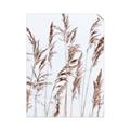 Picture of Wheat in the Wind III _GroupedProduct_Rectangle_Portrait_Photography _GroupedProduct_Rectangle_Portrait_Unframed_Print_Only_