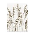 Picture of Wheat in the Wind III _GroupedProduct_Rectangle_Portrait_Photography _GroupedProduct_Rectangle_Portrait_Unframed_Print_Only_