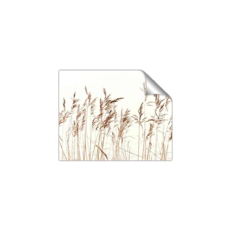 Picture of Wheat in the Wind IV _GroupedProduct_Rectangle_Landscape_Photography _GroupedProduct_Rectangle_Landscape_Unframed_Print_Only_
