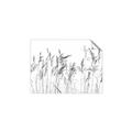 Picture of Wheat in the Wind IV _GroupedProduct_Rectangle_Landscape_Photography _GroupedProduct_Rectangle_Landscape_Unframed_Print_Only_