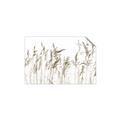Picture of Wheat in the Wind IV _GroupedProduct_Rectangle_Landscape_Photography _GroupedProduct_Rectangle_Landscape_Unframed_Print_Only_