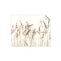 Picture of Wheat in the Wind IV _GroupedProduct_Rectangle_Landscape_Photography _GroupedProduct_Rectangle_Landscape_Unframed_Print_Only_