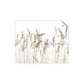 Picture of Wheat in the Wind IV _GroupedProduct_Rectangle_Landscape_Photography _GroupedProduct_Rectangle_Landscape_Unframed_Print_Only_