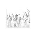 Picture of Wheat in the Wind IV _GroupedProduct_Rectangle_Landscape_Photography _GroupedProduct_Rectangle_Landscape_Unframed_Print_Only_