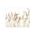 Picture of Wheat in the Wind IV _GroupedProduct_Rectangle_Landscape_Photography _GroupedProduct_Rectangle_Landscape_Unframed_Print_Only_