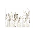 Picture of Wheat in the Wind IV _GroupedProduct_Rectangle_Landscape_Photography _GroupedProduct_Rectangle_Landscape_Unframed_Print_Only_