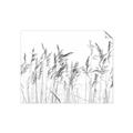 Picture of Wheat in the Wind IV _GroupedProduct_Rectangle_Landscape_Photography _GroupedProduct_Rectangle_Landscape_Unframed_Print_Only_