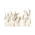 Picture of Wheat in the Wind IV _GroupedProduct_Rectangle_Landscape_Photography _GroupedProduct_Rectangle_Landscape_Unframed_Print_Only_
