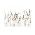 Picture of Wheat in the Wind IV _GroupedProduct_Rectangle_Landscape_Photography _GroupedProduct_Rectangle_Landscape_Unframed_Print_Only_