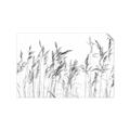 Picture of Wheat in the Wind IV _GroupedProduct_Rectangle_Landscape_Photography _GroupedProduct_Rectangle_Landscape_Unframed_Print_Only_