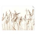 Picture of Wheat in the Wind IV _GroupedProduct_Rectangle_Landscape_Photography _GroupedProduct_Rectangle_Landscape_Unframed_Print_Only_