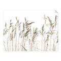 Picture of Wheat in the Wind IV _GroupedProduct_Rectangle_Landscape_Photography _GroupedProduct_Rectangle_Landscape_Unframed_Print_Only_