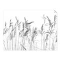 Picture of Wheat in the Wind IV _GroupedProduct_Rectangle_Landscape_Photography _GroupedProduct_Rectangle_Landscape_Unframed_Print_Only_