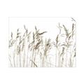 Picture of Wheat in the Wind IV _GroupedProduct_Rectangle_Landscape_Photography _GroupedProduct_Rectangle_Landscape_Unframed_Print_Only_