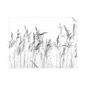 Picture of Wheat in the Wind IV _GroupedProduct_Rectangle_Landscape_Photography _GroupedProduct_Rectangle_Landscape_Unframed_Print_Only_