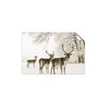 Picture of Winter Deers _GroupedProduct_Rectangle_Landscape_Photography _GroupedProduct_Rectangle_Landscape_Unframed_Print_Only_
