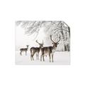 Picture of Winter Deers _GroupedProduct_Rectangle_Landscape_Photography _GroupedProduct_Rectangle_Landscape_Unframed_Print_Only_